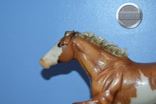 Load image into Gallery viewer, Sooty Buckskin Pinto CUSTOM GLOSS-Dark Horse Surprise-Breyerfest Exclusive-Smarty Jones Mold-Breyer Traditional
