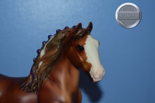 Load image into Gallery viewer, Tristan-Shire Mold-Breyer Classic