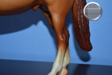 Load image into Gallery viewer, Apricot Dun Adios-Adios Mold-Breyer Traditional