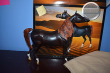 Load image into Gallery viewer, Zafirah-No COA-Premier Club Exclusive-Original on the Mold-Breyer Traditional