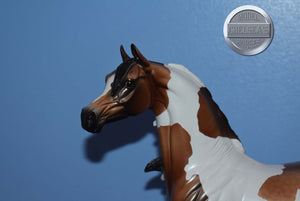 Biarritz-Artisan Hall Series-LE of 75-Arabian-Peter Stone