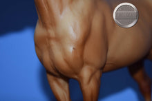 Load image into Gallery viewer, Apricot Dun Adios-Adios Mold-Breyer Traditional