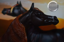 Load image into Gallery viewer, Zafirah-No COA-Premier Club Exclusive-Original on the Mold-Breyer Traditional