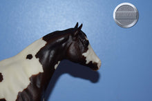 Load image into Gallery viewer, Western Stock Horse (from JCP set)-Stock Horse Stallion Mold-Breyer Traditional