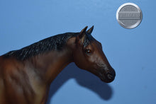 Load image into Gallery viewer, Smooth Copper-Stud Spider Mold-Breyer Traditional