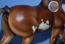 Load image into Gallery viewer, Tristan-Shire Mold-Breyer Classic