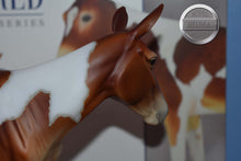 Load image into Gallery viewer, Winifred-No Bag-Premier Club Exclusive-Mule Mold-Breyer Traditional