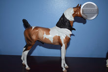 Load image into Gallery viewer, Biarritz-Artisan Hall Series-LE of 75-Arabian-Peter Stone