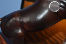 Load image into Gallery viewer, Zafirah-No COA-Premier Club Exclusive-Original on the Mold-Breyer Traditional
