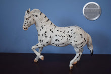 Load image into Gallery viewer, Hank-Appaloosa-Ranch Horse Mold-Breyer Traditional