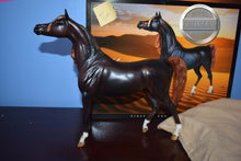 Load image into Gallery viewer, Zafirah-No COA-Premier Club Exclusive-Original on the Mold-Breyer Traditional
