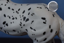Load image into Gallery viewer, Hank-Appaloosa-Ranch Horse Mold-Breyer Traditional