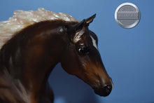 Load image into Gallery viewer, Silver Bay Sport Horse-Black Beauty Mold-Breyer Traditional