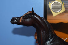 Load image into Gallery viewer, Zafirah-No COA-Premier Club Exclusive-Original on the Mold-Breyer Traditional