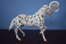 Load image into Gallery viewer, Hank-Appaloosa-Ranch Horse Mold-Breyer Traditional