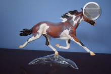 Load image into Gallery viewer, Constantia-Horse Only-Premier Club Exclusive-Original on the Mold-Breyer Traditional