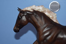Load image into Gallery viewer, Silver Bay Sport Horse-Black Beauty Mold-Breyer Traditional