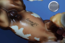 Load image into Gallery viewer, Tristan-Shire Mold-Breyer Classic