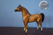 Load image into Gallery viewer, Dune-Proud Arabian Stallion Mold-Breyer Traditional