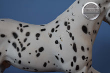 Load image into Gallery viewer, Hank-Appaloosa-Ranch Horse Mold-Breyer Traditional