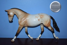 Load image into Gallery viewer, Buckskin Appaloosa DAH-XFCM-Palouse-Peter Stone