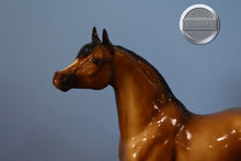 Load image into Gallery viewer, Dune-Proud Arabian Stallion Mold-Breyer Traditional