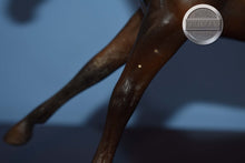 Load image into Gallery viewer, Silver Bay Sport Horse-Black Beauty Mold-Breyer Traditional