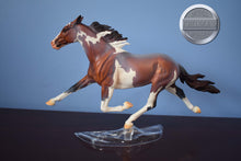 Load image into Gallery viewer, Constantia-Horse Only-Premier Club Exclusive-Original on the Mold-Breyer Traditional