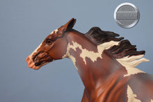 Load image into Gallery viewer, Constantia-Horse Only-Premier Club Exclusive-Original on the Mold-Breyer Traditional