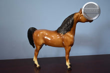 Load image into Gallery viewer, Dune-Proud Arabian Stallion Mold-Breyer Traditional