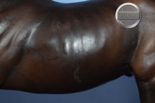Load image into Gallery viewer, Silver Bay Sport Horse-Black Beauty Mold-Breyer Traditional