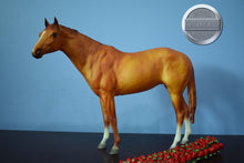 Load image into Gallery viewer, 25th Anniversary Secretariat with Roses-Old Mold Secretariat-Breyer Traditional