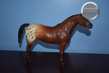 Load image into Gallery viewer, Chestnut Appaloosa POA-Pony of America Mold-Breyer Traditional