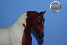 Load image into Gallery viewer, Misty's Twilight-Original on the Mold-Breyer Traditional