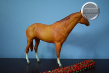 Load image into Gallery viewer, 25th Anniversary Secretariat with Roses-Old Mold Secretariat-Breyer Traditional