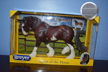 Load image into Gallery viewer, SBH Pheonix-New in Box-Othello Mold-Breyer Traditional