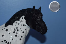 Load image into Gallery viewer, Custom Appaloosa Ardennes Stallion-Ardennes Stallion Mold-Breyer Traditional