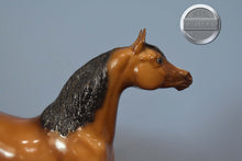 Load image into Gallery viewer, Dune-Proud Arabian Stallion Mold-Breyer Traditional