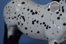 Load image into Gallery viewer, Custom Appaloosa Ardennes Stallion-Ardennes Stallion Mold-Breyer Traditional