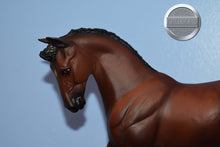 Load image into Gallery viewer, Molokai-Breyerfest Exclusive-Big Ben Mold-Breyer Traditional