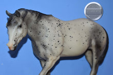 Load image into Gallery viewer, Appaloosa Indian Pony-Black Horse Ranch Exclusive-SHRINKY/OOZIE-Breyer Traditional