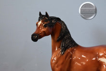 Load image into Gallery viewer, Lugh-Breyerfest Exclusive-Sham Mold-Breyer Traditional