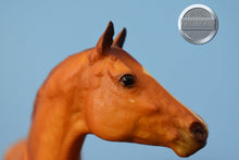 Load image into Gallery viewer, 25th Anniversary Secretariat with Roses-Old Mold Secretariat-Breyer Traditional