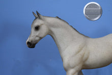 Load image into Gallery viewer, Gold Raven-Make a Wish Mold-Breyer Traditional