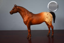Load image into Gallery viewer, Chestnut Appaloosa POA-Pony of America Mold-Breyer Traditional