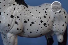 Load image into Gallery viewer, Custom Appaloosa Ardennes Stallion-Ardennes Stallion Mold-Breyer Traditional