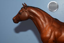 Load image into Gallery viewer, Chestnut Appaloosa POA-Pony of America Mold-Breyer Traditional