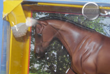 Load image into Gallery viewer, Protocol-New in Box-NO DOGS-Strapless Mold-Breyer Traditional
