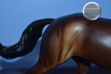 Load image into Gallery viewer, Flash-Original on the Mold-Breyer Traditional