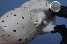 Load image into Gallery viewer, Custom Appaloosa Ardennes Stallion-Ardennes Stallion Mold-Breyer Traditional